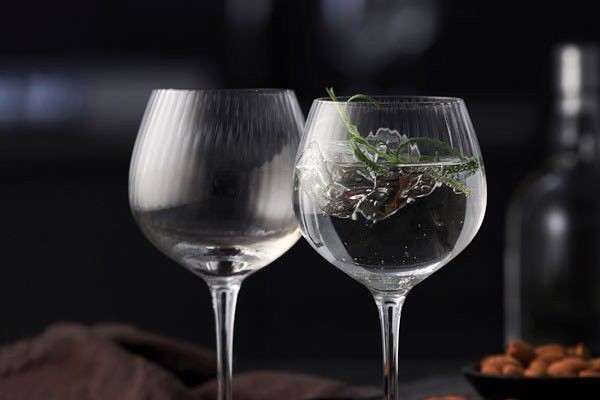 Letní osvěžení - Gin & Tonic